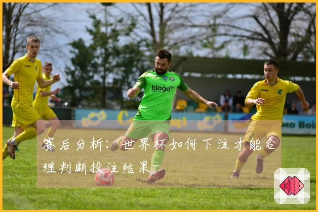 赛后分析：世界杯如何下注才能合理判断投注结果-