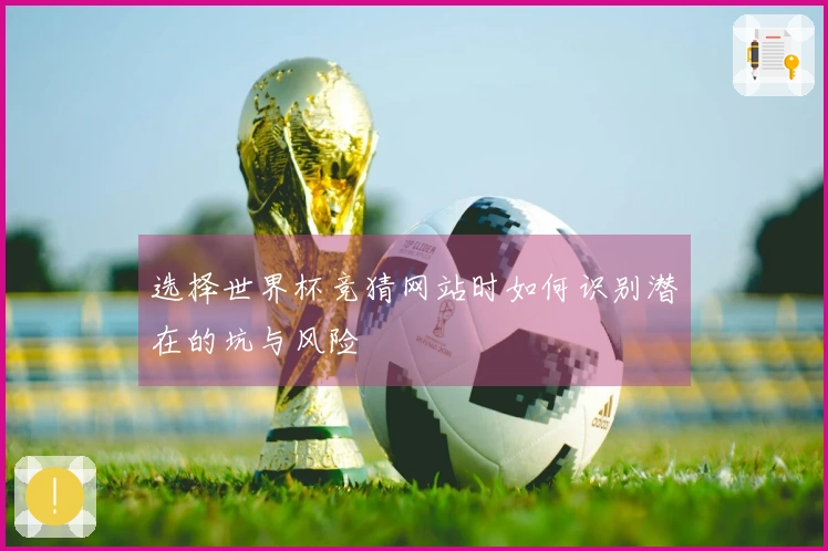 选择世界杯竞猜网站时如何识别潜在的坑与风险