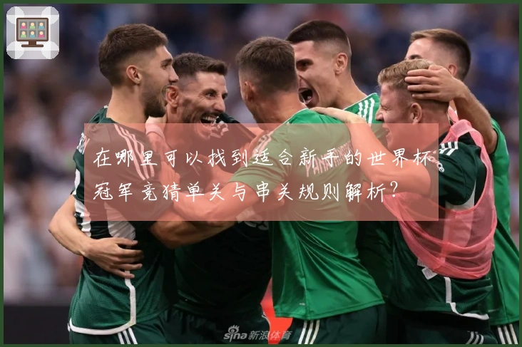 在哪里可以找到适合新手的世界杯冠军竞猜单关与串关规则解析？