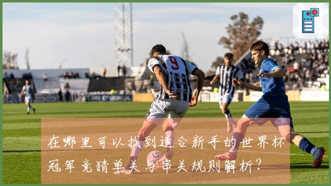 在哪里可以找到适合新手的世界杯冠军竞猜单关与串关规则解析？