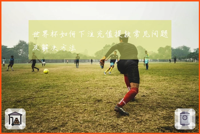 世界杯如何下注充值提款常见问题及解决方法