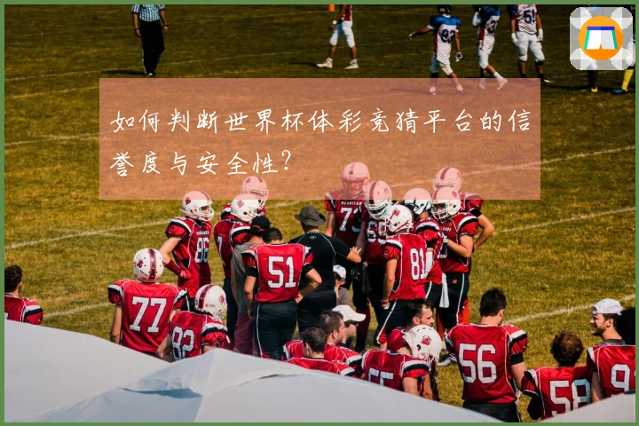如何判断世界杯体彩竞猜平台的信誉度与安全性？